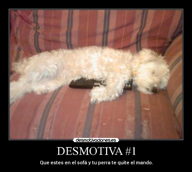 DESMOTIVA #1 -
