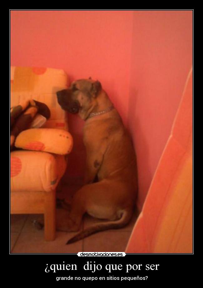 ¿quien  dijo que por ser - 