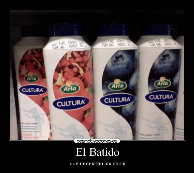 El Batido - que necesitan los canis