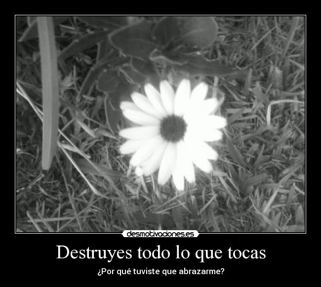 Destruyes todo lo que tocas - 