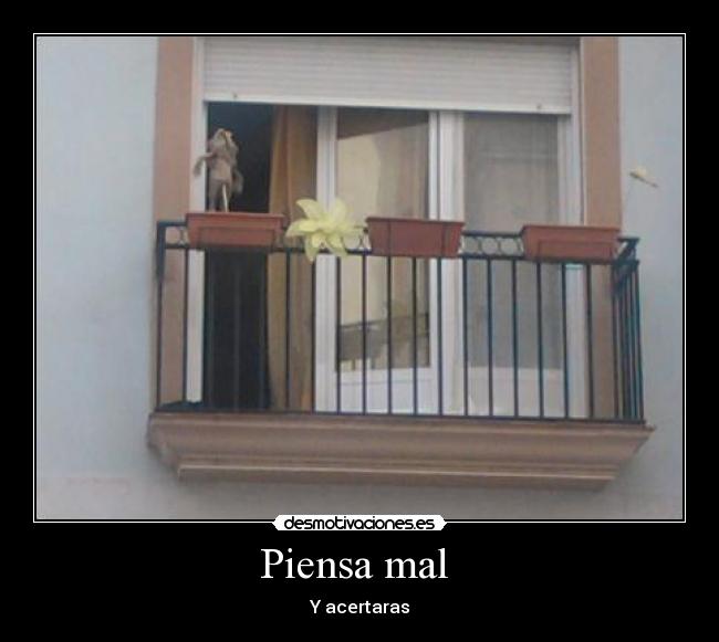 Piensa mal - Y acertaras