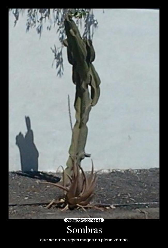 Sombras - que se creen reyes magos en pleno verano.