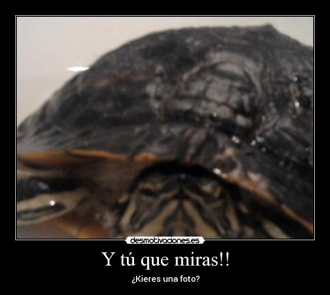 Y tú que miras!! -
