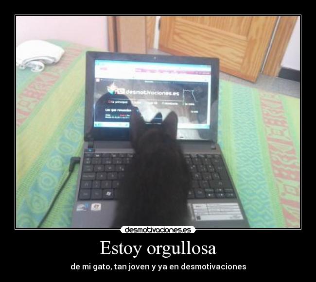 Estoy orgullosa - de mi gato, tan joven y ya en desmotivaciones