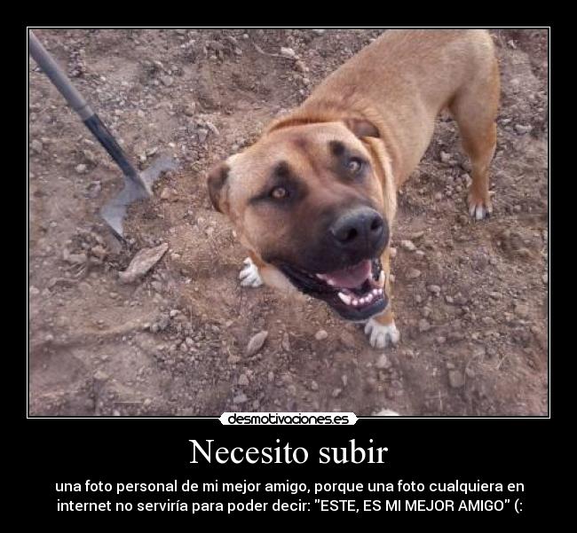 Necesito subir - una foto personal de mi mejor amigo, porque una foto cualquiera en
internet no serviría para poder decir: ESTE, ES MI MEJOR AMIGO (: