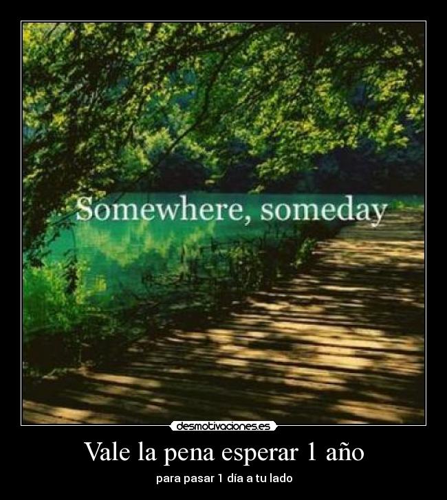Vale la pena esperar 1 año -