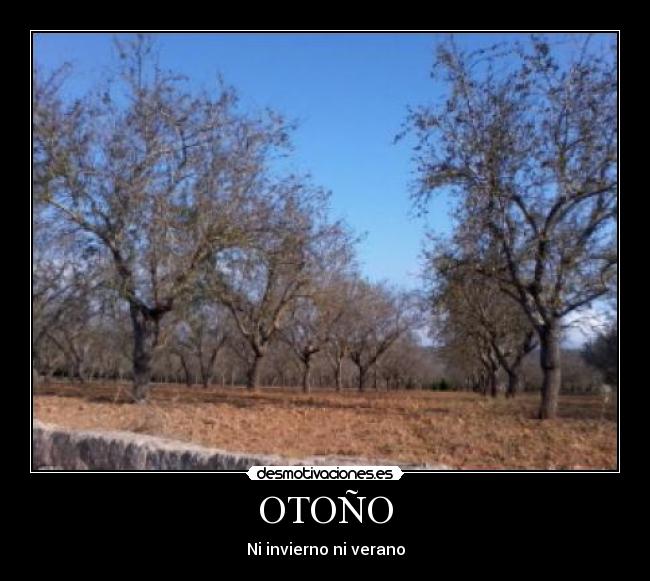 OTOÑO -