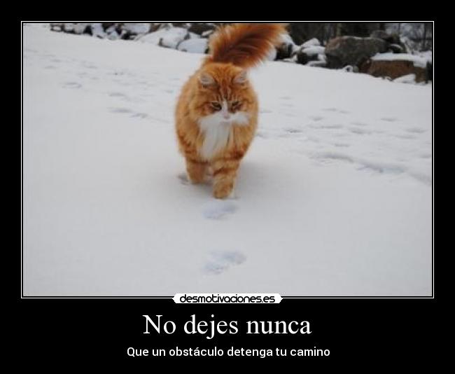 No dejes nunca - Que un obstáculo detenga tu camino