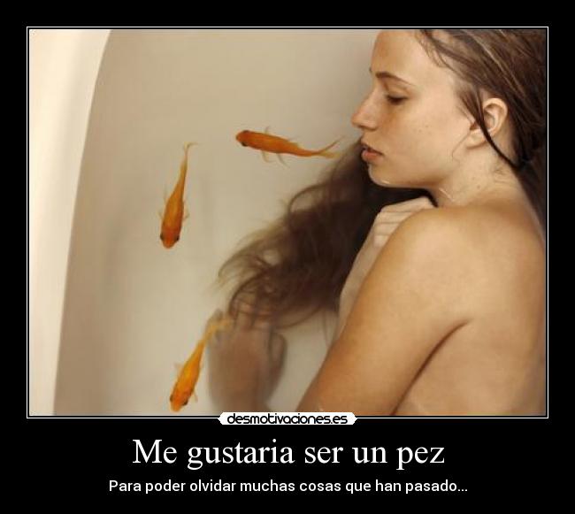 Me gustaria ser un pez - Para poder olvidar muchas cosas que han pasado...