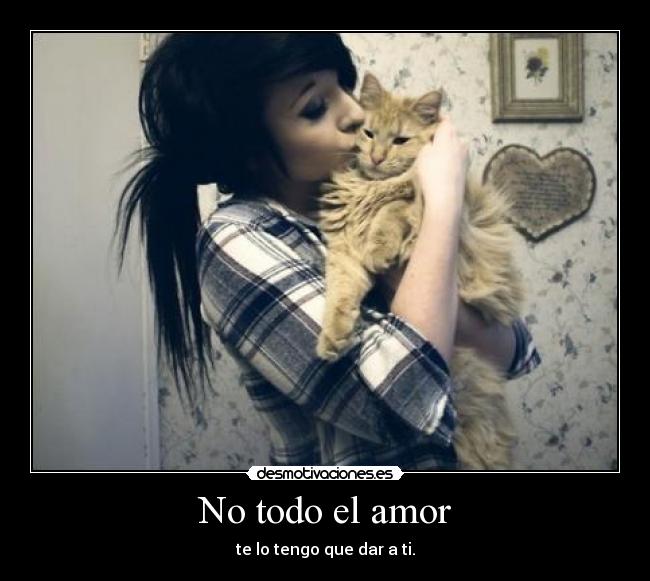 No todo el amor -