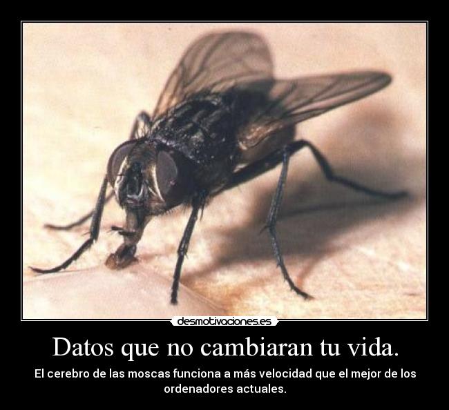 Datos que no cambiaran tu vida. -