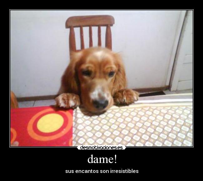 dame! - sus encantos son irresistibles