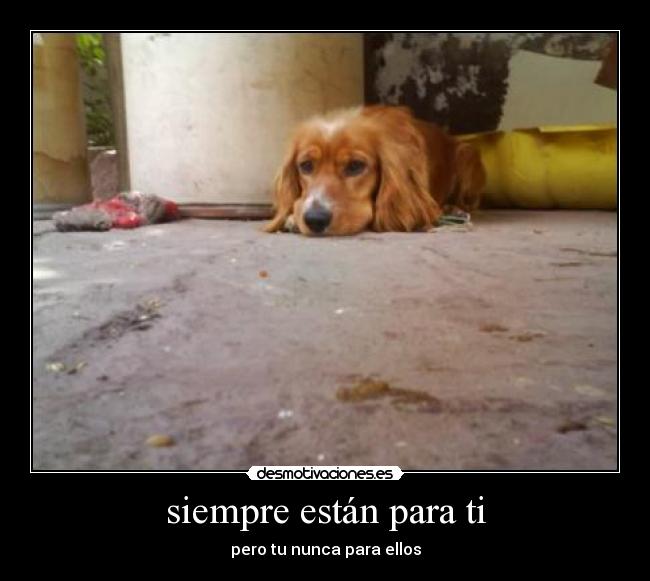 siempre están para ti - pero tu nunca para ellos