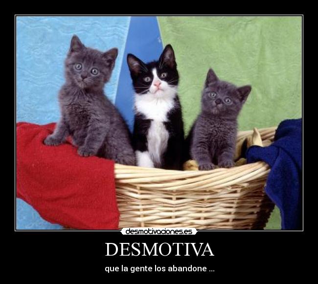 DESMOTIVA - que la gente los abandone ...