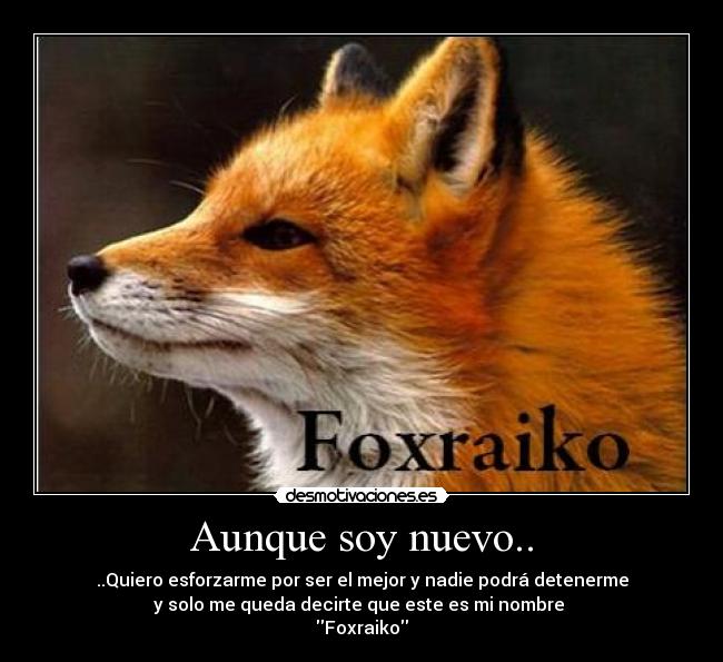 Aunque soy nuevo.. -