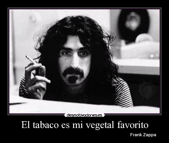 carteles frank zappa grande igual que los fumadores desmotivaciones