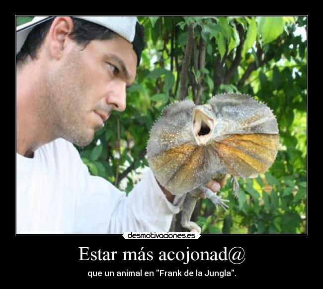 Estar más acojonad@ - 