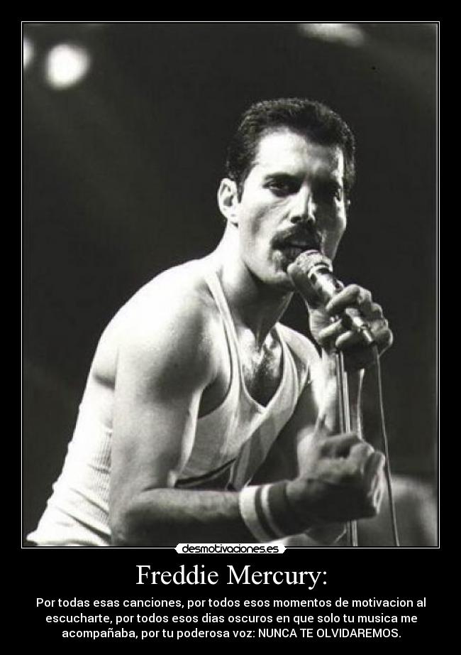 Freddie Mercury: -
