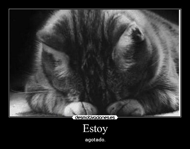 Estoy -