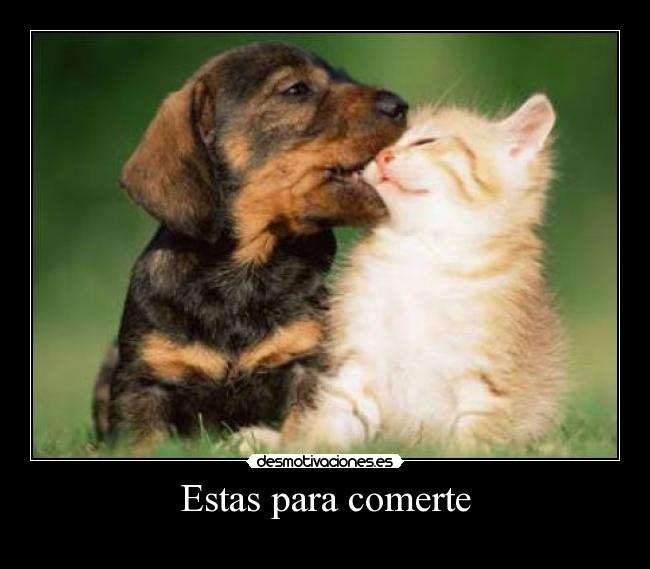 Estas para comerte - 