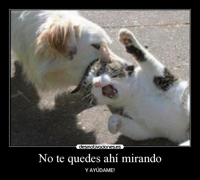 No te quedes ahí mirando - Y AYÚDAME!