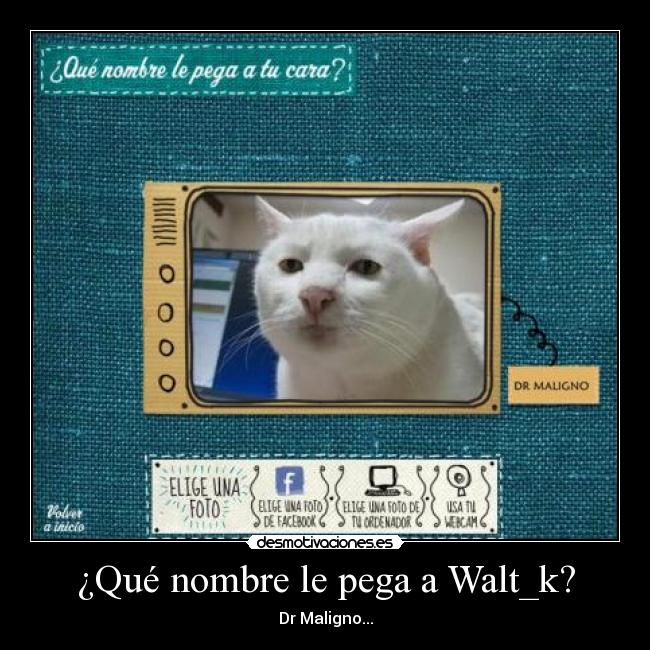 ¿Qué nombre le pega a Walt_k? -