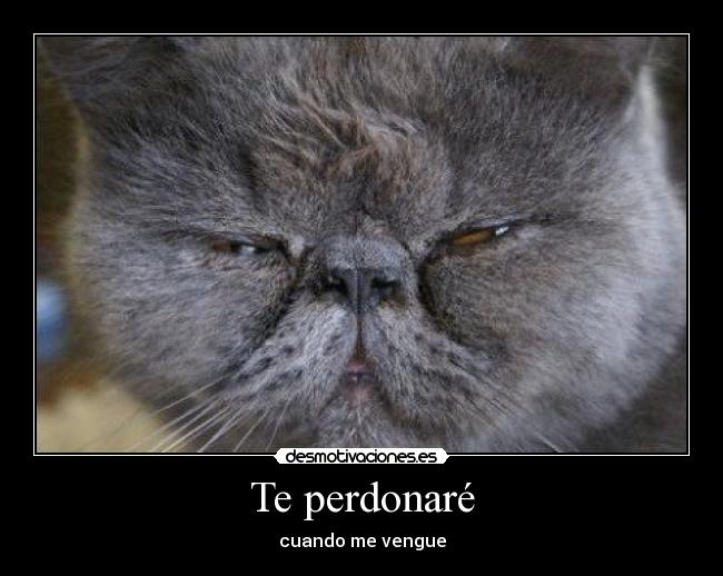 Te perdonaré -