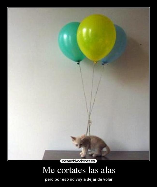 Me cortates las alas - pero por eso no voy a dejar de volar