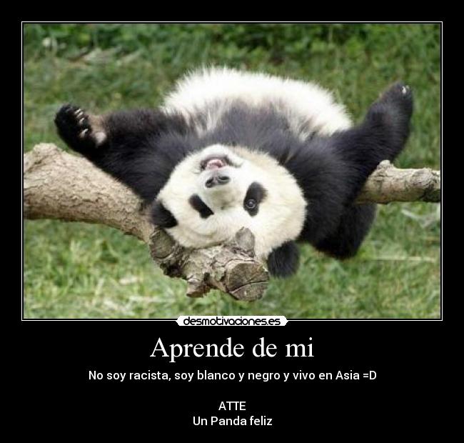 carteles panda racismo feliz desmotivaciones
