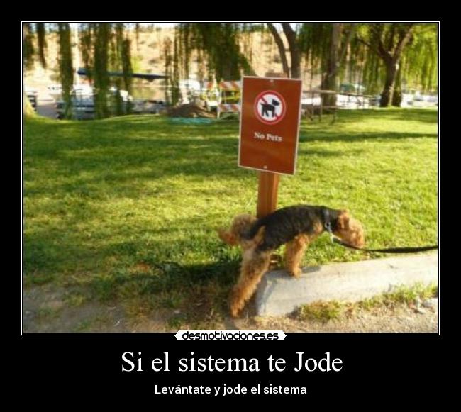 carteles perrossenalesfuck yeah desmotivaciones