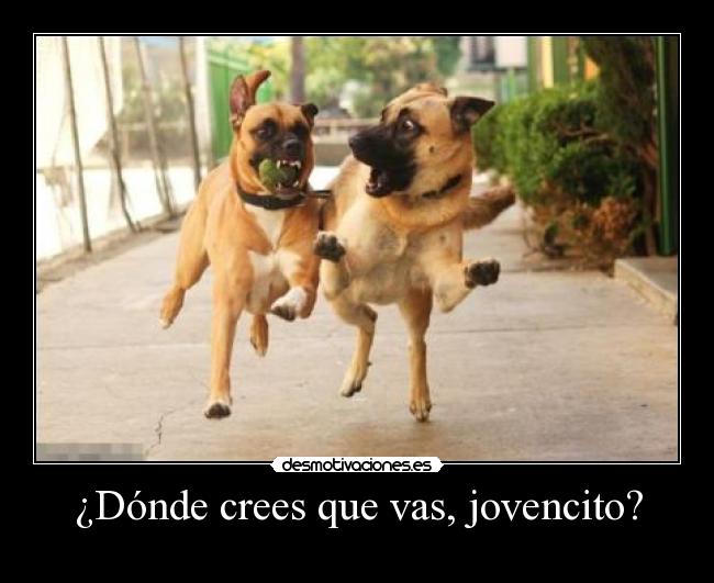 ¿Dónde crees que vas, jovencito? -