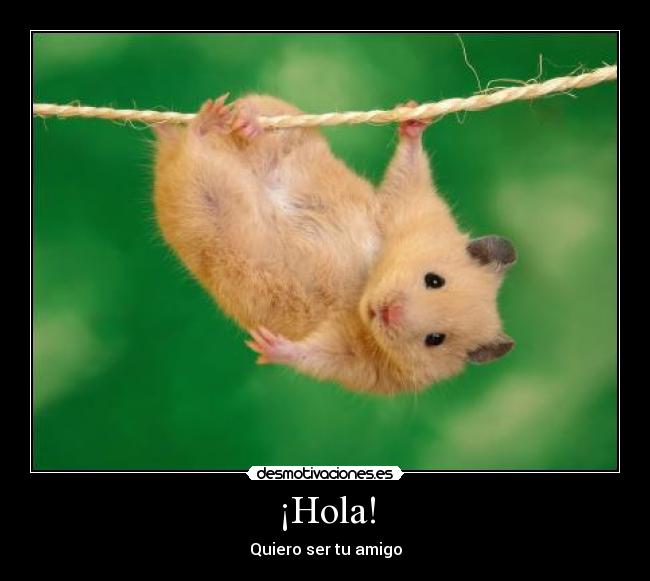 ¡Hola! - Quiero ser tu amigo