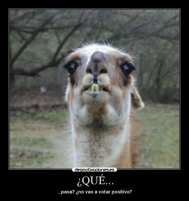 ¿QUÉ... - ...pasa? ¿no vas a votar positivo?