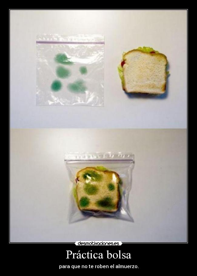 Práctica bolsa - para que no te roben el almuerzo.