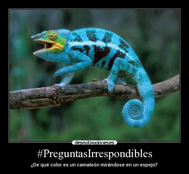 #PreguntasIrrespondibles - 