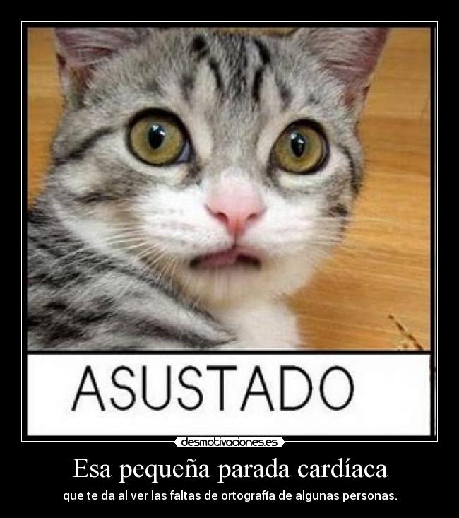 carteles parada cardiaca ortografia desmotivaciones