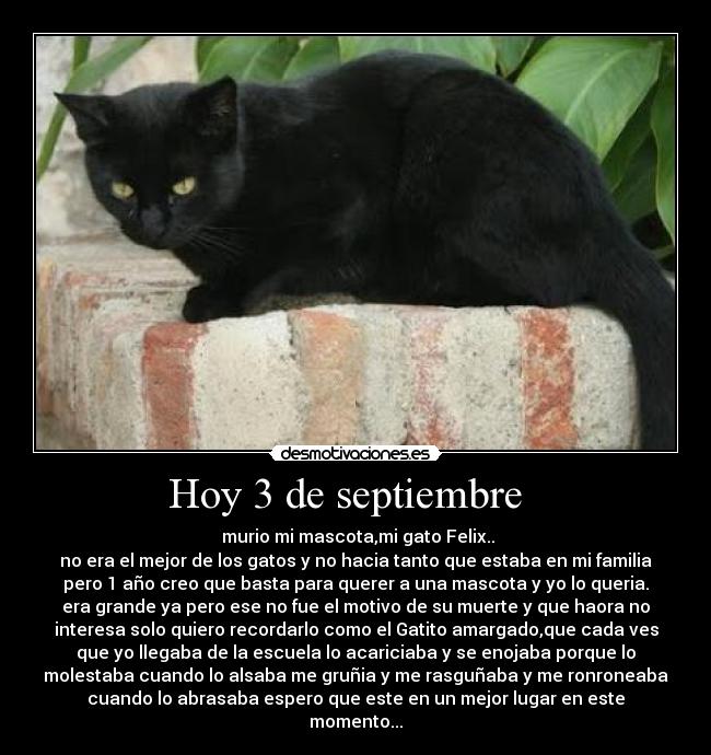 Hoy 3 de septiembre -