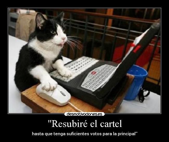 Resubiré el cartel - hasta que tenga suficientes votos para la principal