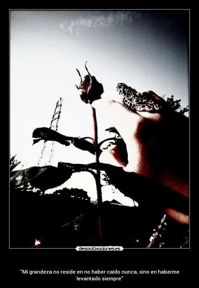   - Mi grandeza no reside en no haber caído nunca, sino en haberme
levantado siempre