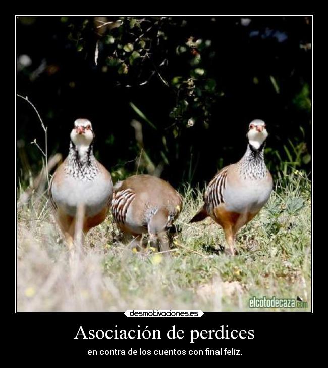 Asociación de perdices -