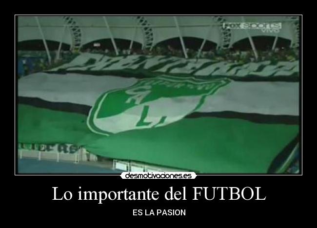 Lo importante del FUTBOL - 