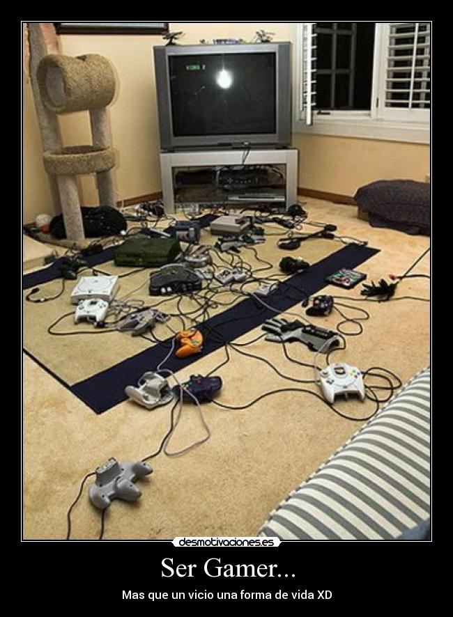 Ser Gamer... - 