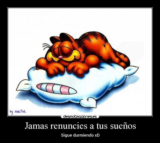 Jamas renuncies a tus sueños -