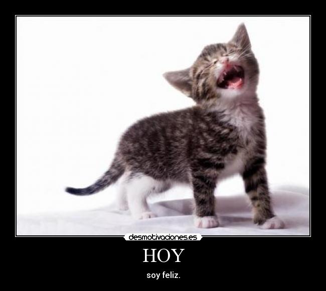 HOY - soy feliz.