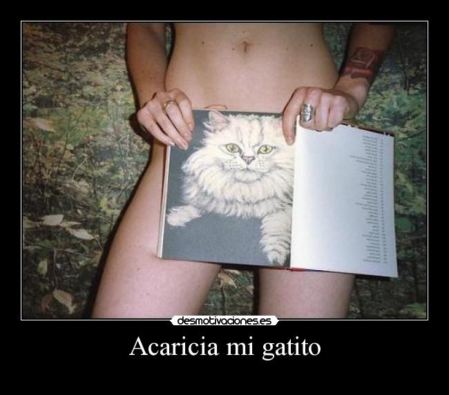 Acaricia mi gatito -