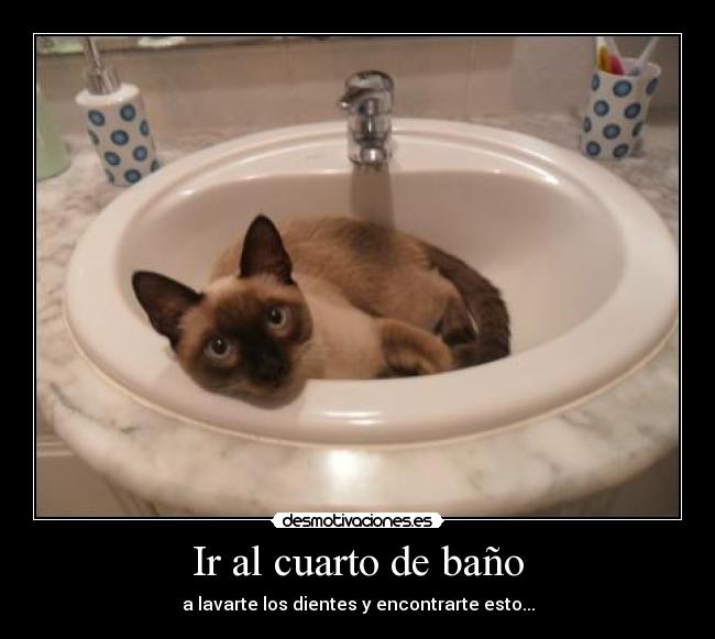 Ir al cuarto de baño - a lavarte los dientes y encontrarte esto...