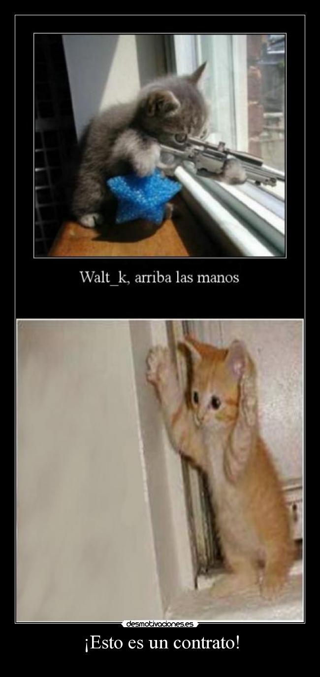 ¡Esto es un contrato! -