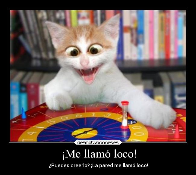 ¡Me llamó loco! - ¿Puedes creerlo? ¡La pared me llamó loco!