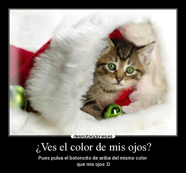 ¿Ves el color de mis ojos? - Pues pulsa el botoncito de ariba del mismo color
que mis ojos :D