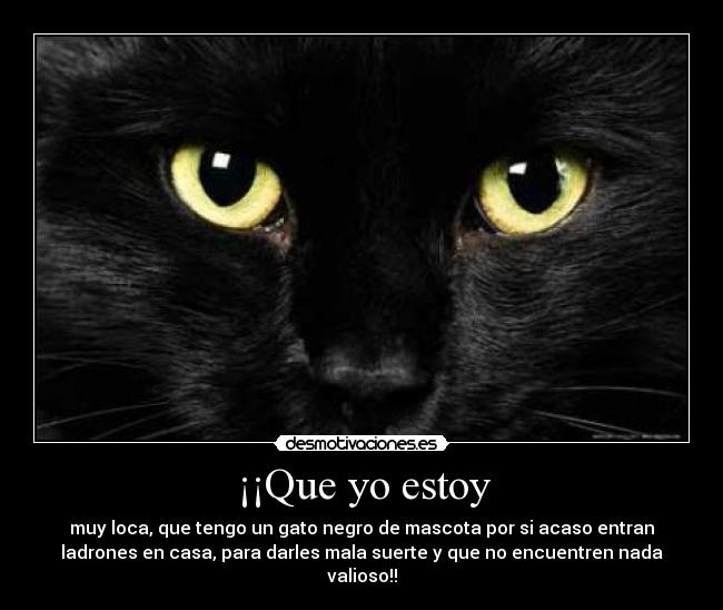 ¡¡Que yo estoy - muy loca, que tengo un gato negro de mascota por si acaso entran
ladrones en casa, para darles mala suerte y que no encuentren nada
valioso!!